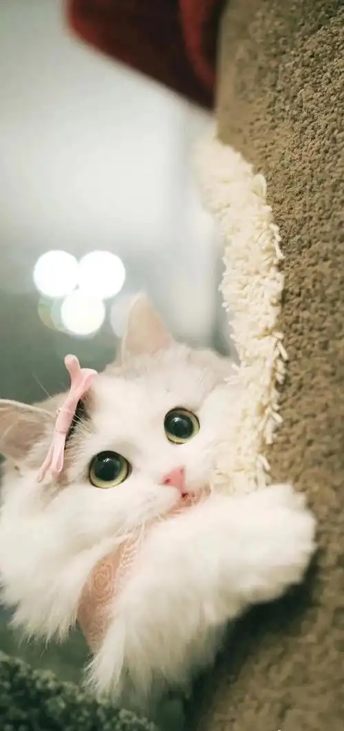 640_1359竖版 竖屏