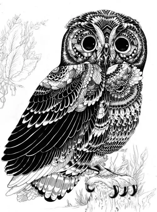 [黑白装饰画 动物]动物黑白装饰画大全