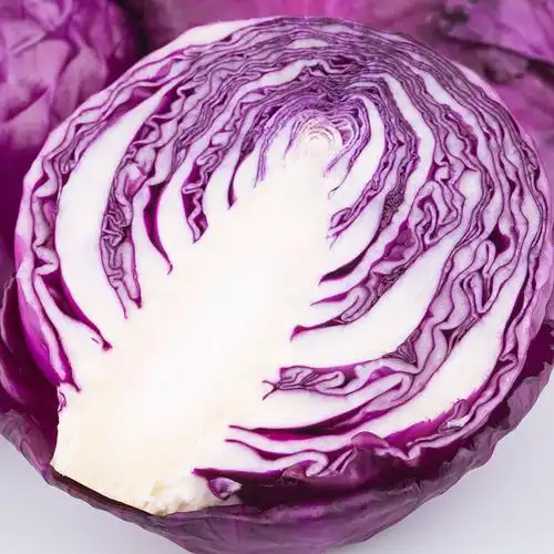 从化华隆 紫椰菜(400--600g)