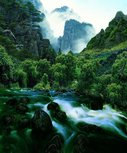 667_800gif 动态图 动图