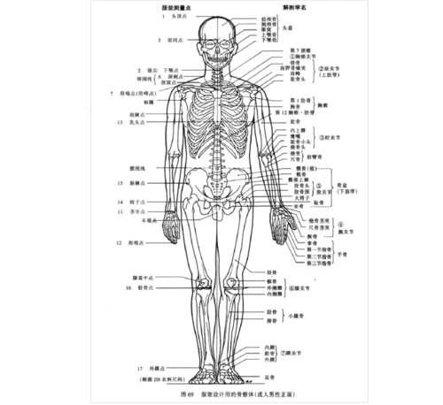 第一章 服装设计中的人体结构特征