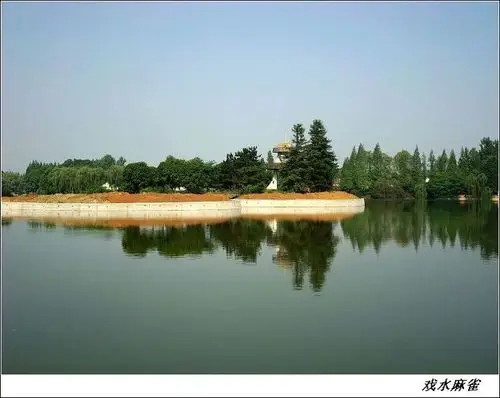 【水韵汉中---兴元湖(一)摄影图片】汉中兴元湖公园风光摄影_戏水麻雀