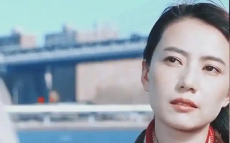 高圆圆 最美人妻天花板!