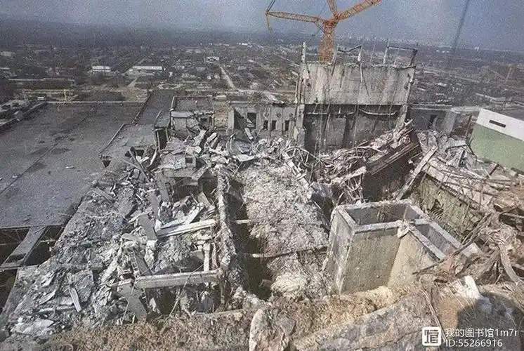 日本发生里氏9级大地震,引发福岛核电站连续爆炸,导致核泄漏,核辐射的