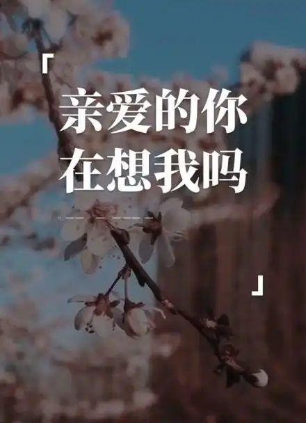 《亲爱的你在想我吗》d2