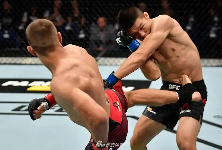 刘平原ufc首秀豪取大胜精彩集锦