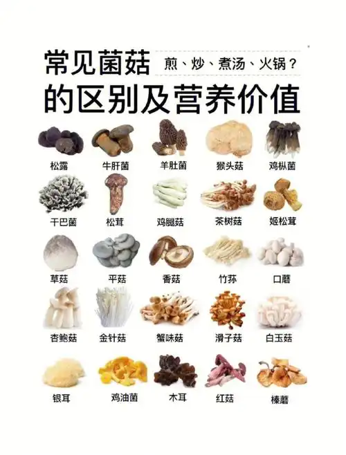 [菌菇说明书]常见菌菇类区别营养价值及做法关于菌菇种类区别,营养