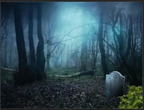 我来到一个坟墓前,月亮高悬空中,树枝却没有影子,只有前面一个发白的