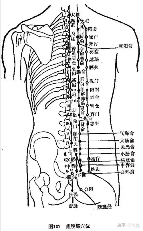 吴谦十四经要穴主治歌