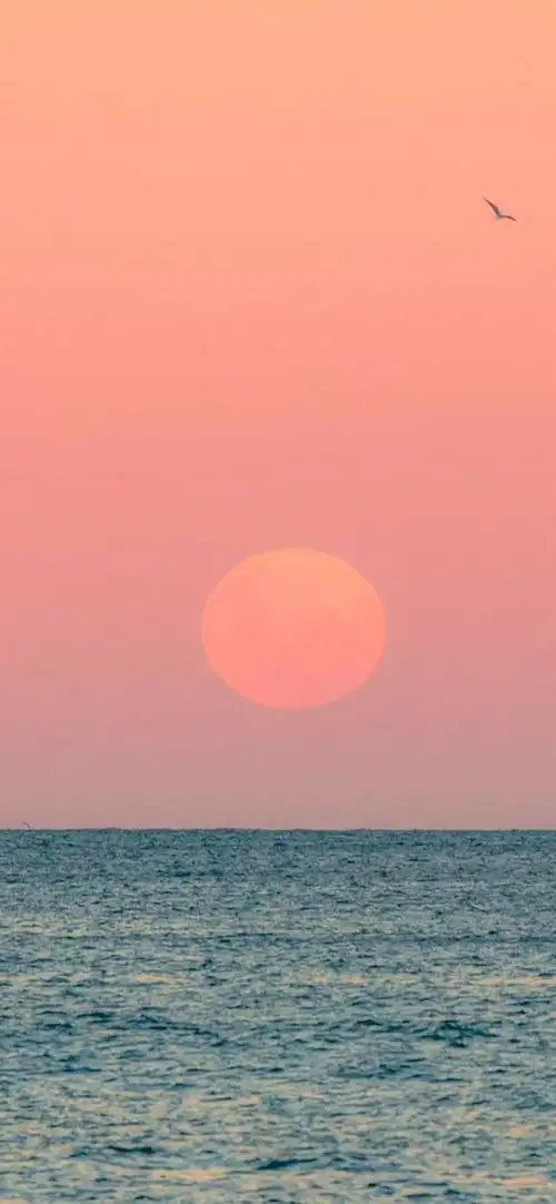 每日精选4k全屏壁纸[09期]