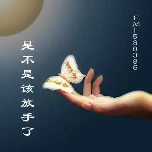 寂寞香~第四十一期《是不是该放手了》【原创】