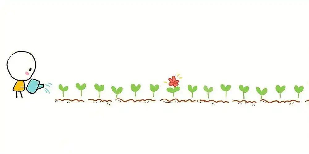 美篇朋友圈分割线