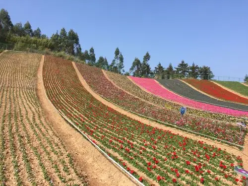 福建省 漳州市 长泰县 十里蓝山               2020-07-21