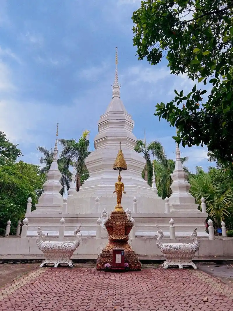 傣族园白塔 傣族园 奔着白塔去的 园里有最古老的傣式吊脚楼 一幢幢