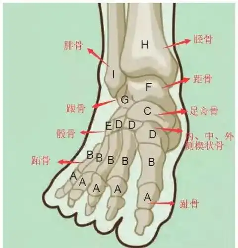来测试一下你的足踝还好吗