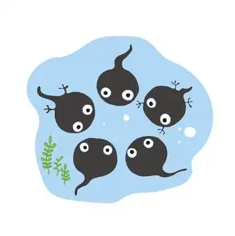 照片素材(图片): 春天在池塘里,蝌蚪