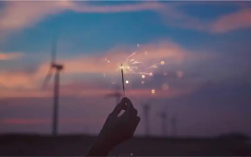 我的歌单樱花草