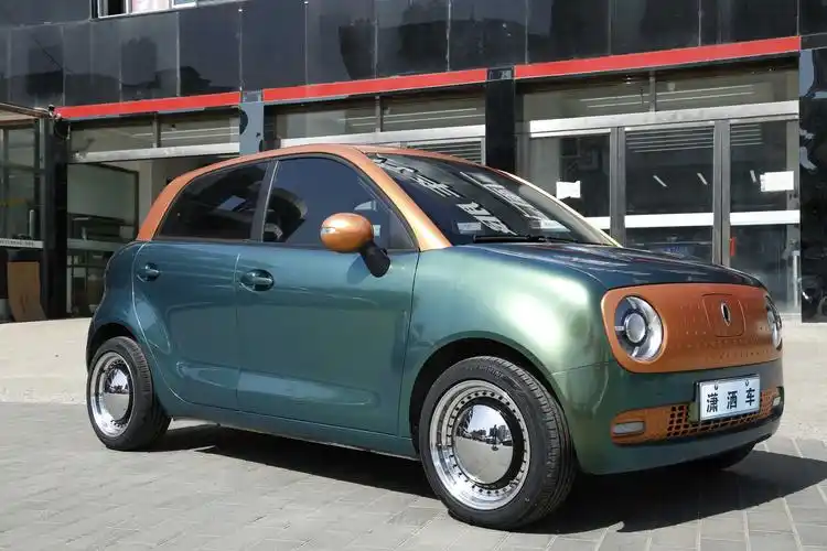 欧拉r1双拼改色施工案例