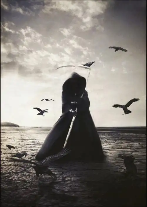 不知道为什么这么喜欢镰刀死神呢