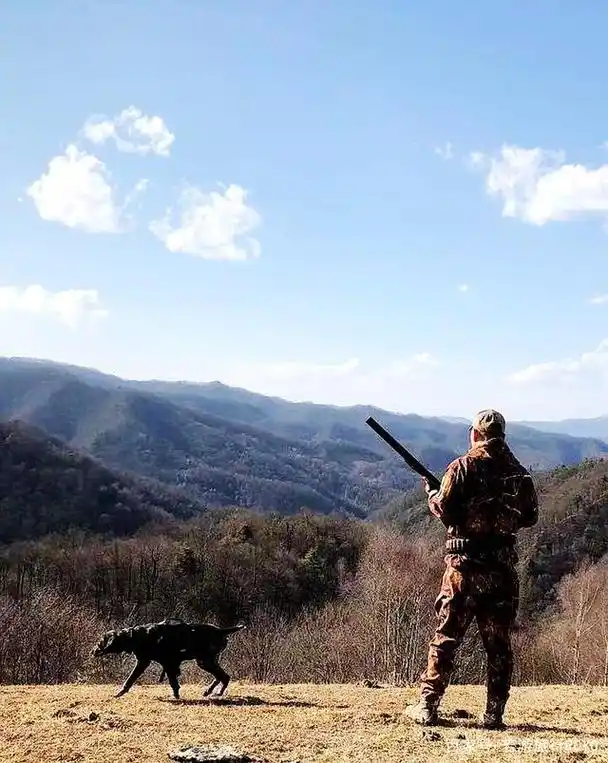 关于打猎,听听中国国内合法狩猎场猎人怎么说