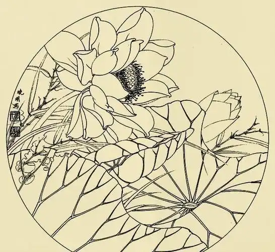 李晓明很漂亮的工笔花鸟画白描稿