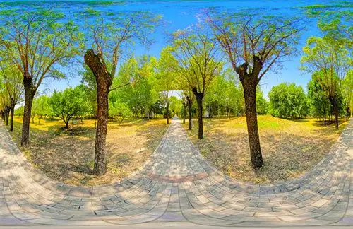 汽车全景十三五值的信赖