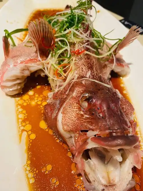 肉质qq无比的红石斑鱼我的天哪太好吃了