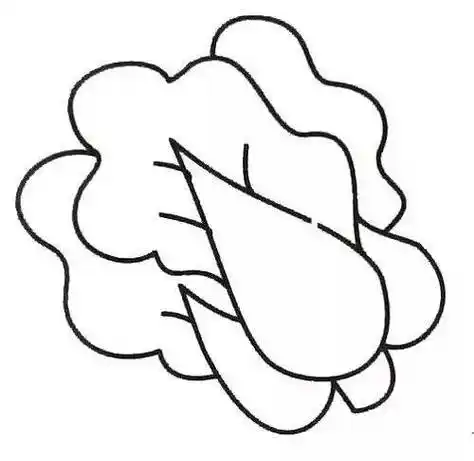蔬菜的简笔画 蔬菜的简笔画图片