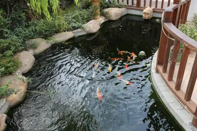 鱼池的营造有上千种方式,但有个设备一定不能缺少