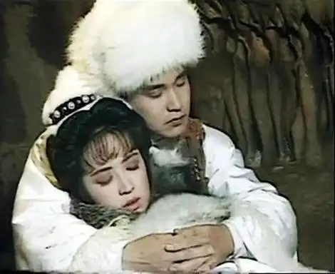 香港电视剧85版雪山飞狐国语(80后的回忆电视剧)(3)