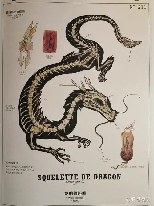 龙的形象历来有不同说法,而根据《说文解字》记载,说龙的样子似披鳞的