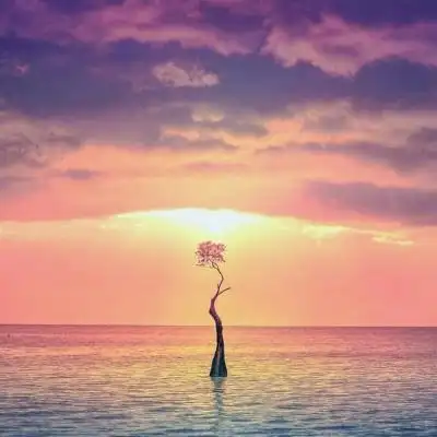 风景静物头像_我要个性网