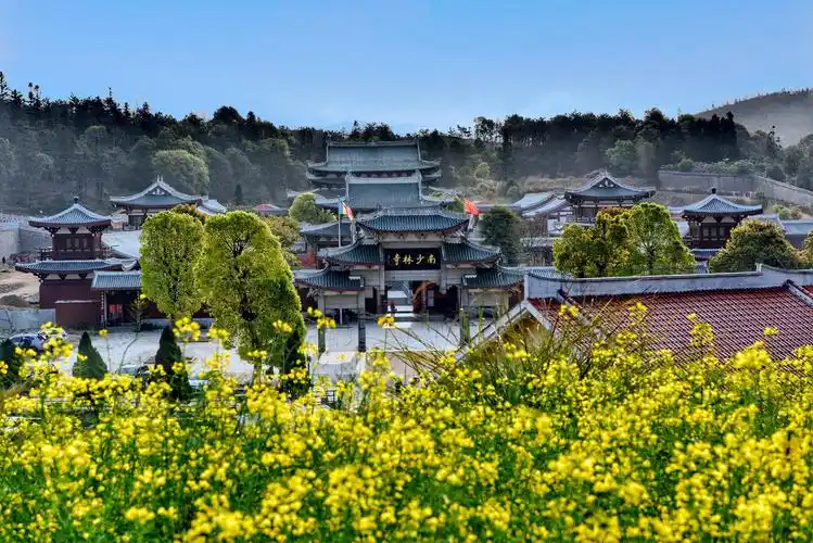 福建省莆田市荔城区西天尾镇