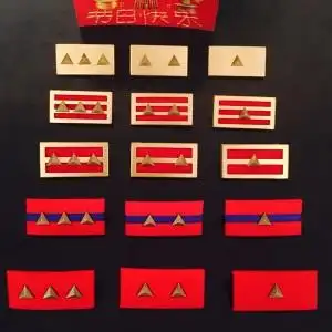 抗战国军纯铜领章