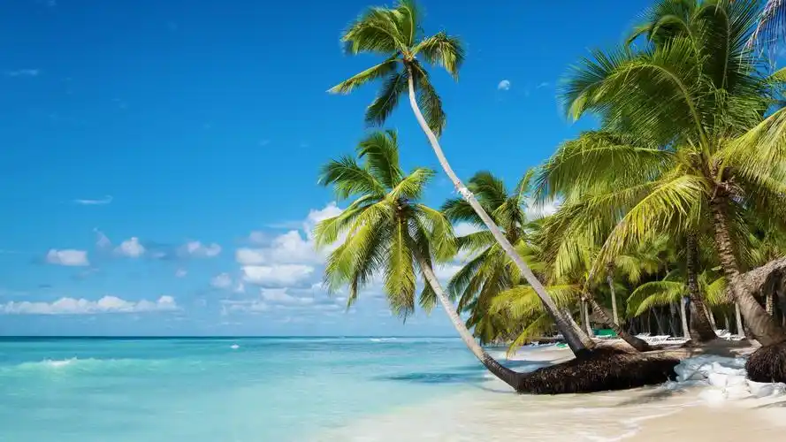 夏日沙滩享受日光浴,风景图片-回车桌面