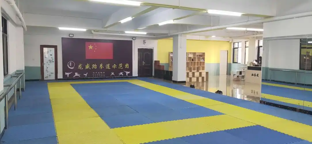龙盛跆拳道馆盛大开业