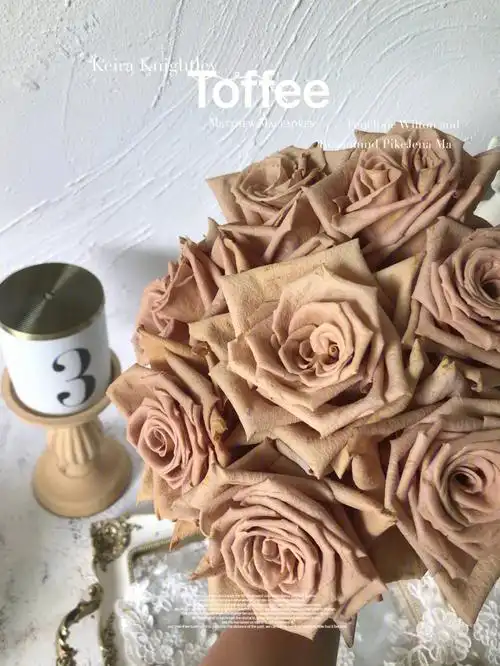 toffee太妃糖厄瓜多尔玫瑰