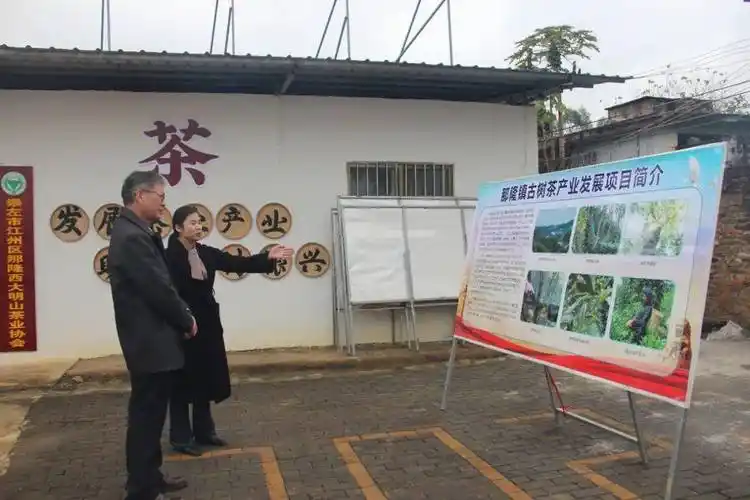 市人大常委会领导开展春节前走访慰问活动_刘勇_发展