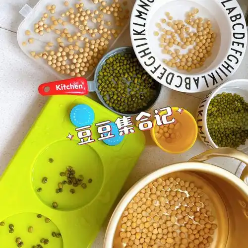 幼儿园豆芽成长日记78