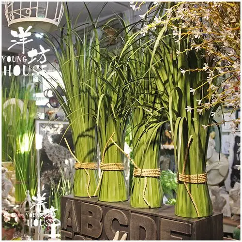落地草丛假草桩橱窗道具儿童摄影样板房仿真绿芦苇针草叶盆栽蒲苇