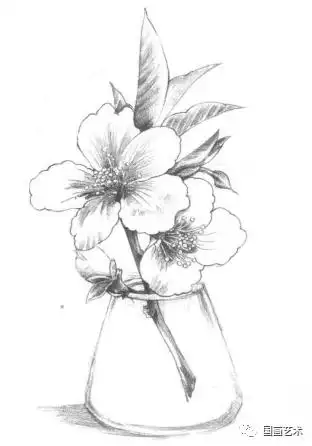 春天宜画桃花,请收下白描,素描,写意,工笔桃花的画法!