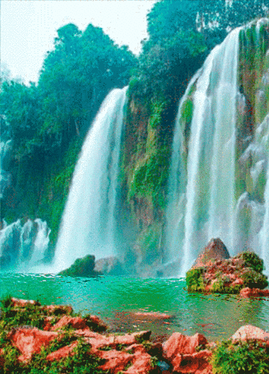 400_557竖版 竖屏gif 动态图 动图