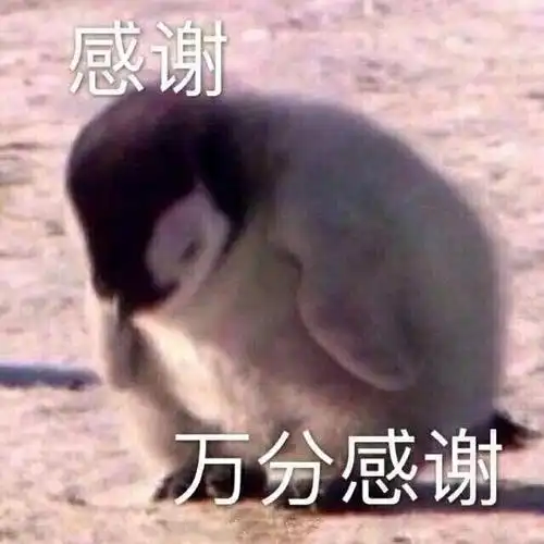 斗图表情包【金馆长表情包】 ╟ 金馆长表情包_搞笑表情包_动态表情包