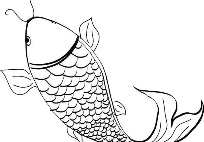 鲤鱼矢量图图片工笔国画红鲤鱼纯手绘手绘客厅装饰挂画3尺整张鲤鱼六