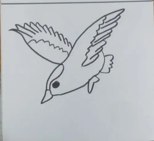 俯冲的——麻雀