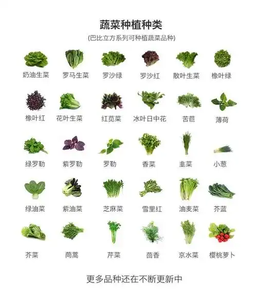 【高清图】 麻麻汇《做都市农场主,乐享种植》一期邀请开启图7