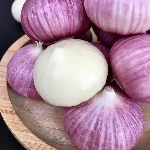 新鲜2022独头蒜紫皮大蒜头农家自种蔬菜独蒜大蒜