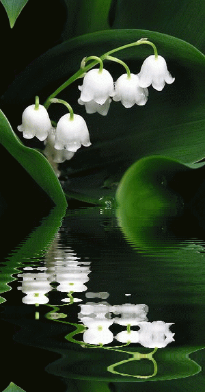 300_572竖版 竖屏gif 动态图 动图