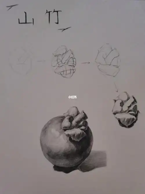 静物单体水果山竹