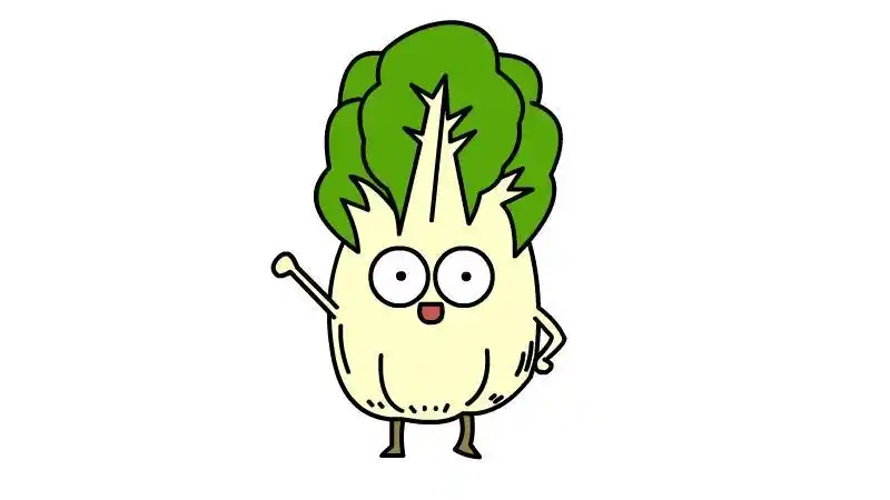 简简单单qq萌萌你学会了吗卡通白菜简笔画的画法及图片大全蔬菜之白菜